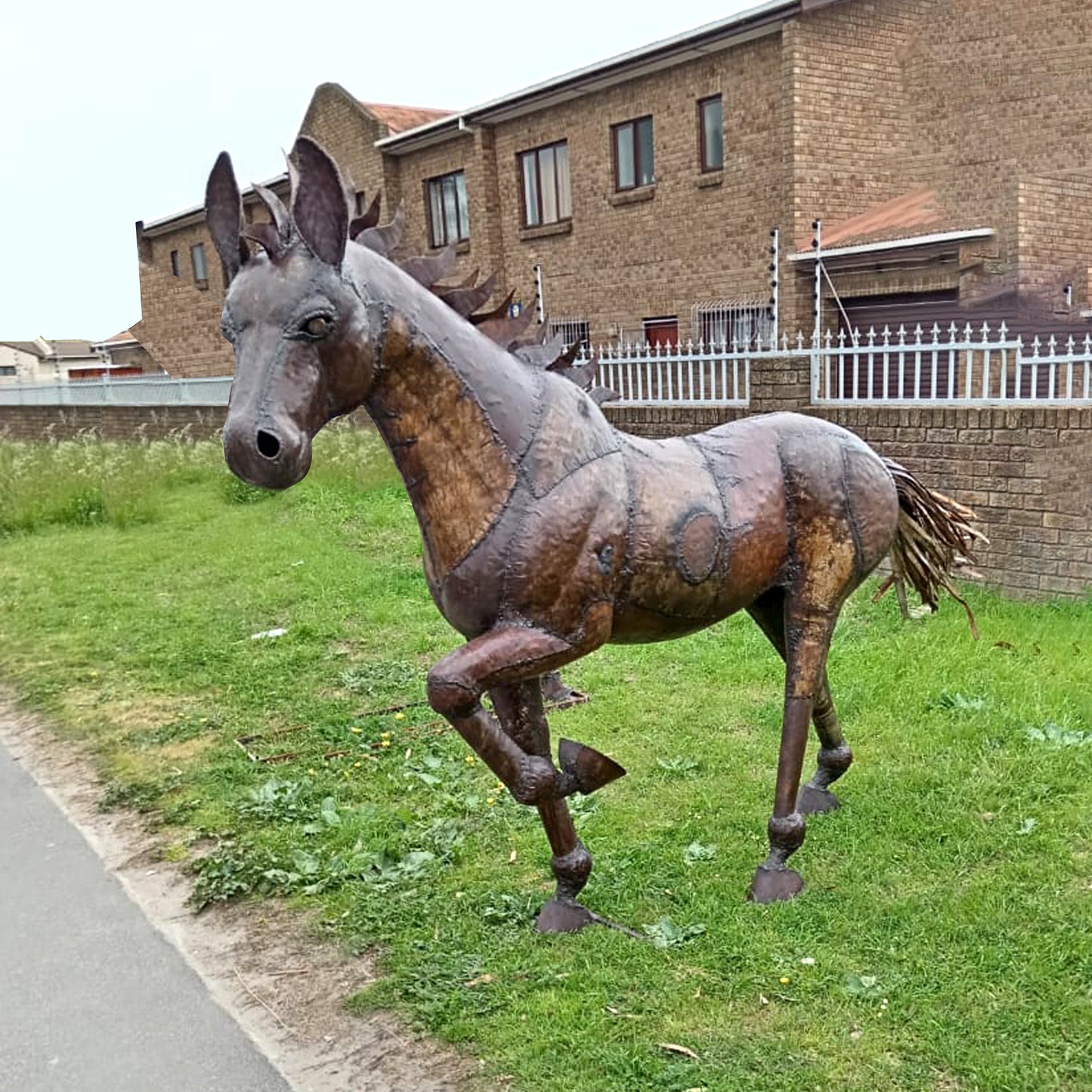 Beautiful Brown Horse